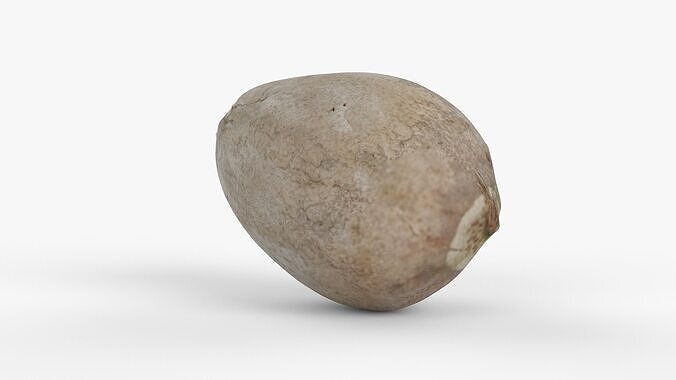 Photorealistic 3D scan of avocado pit Low-poly 3D model 6