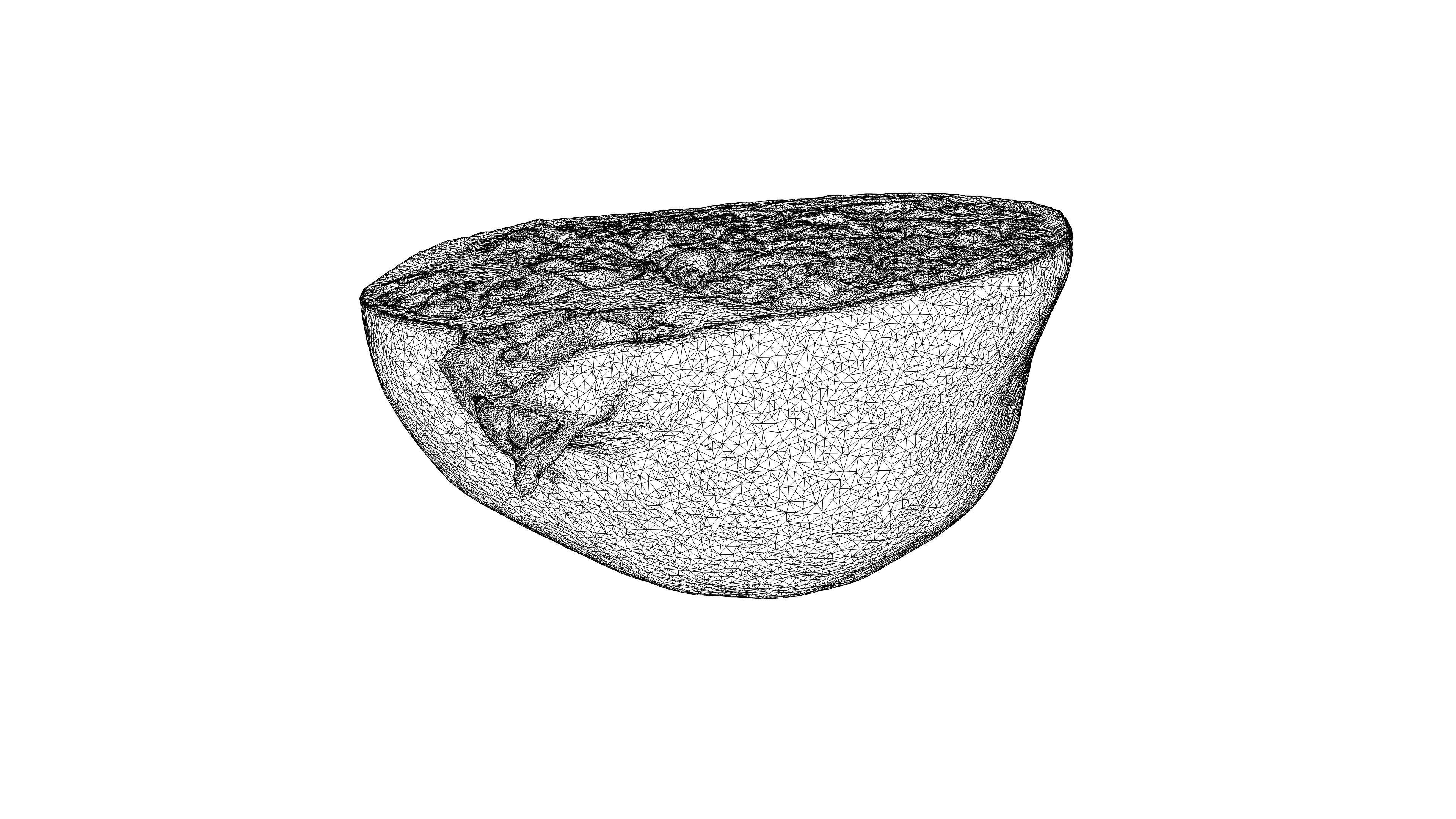 Photorealistic 3D scan of half a pomegranate Low-poly 3D model_22