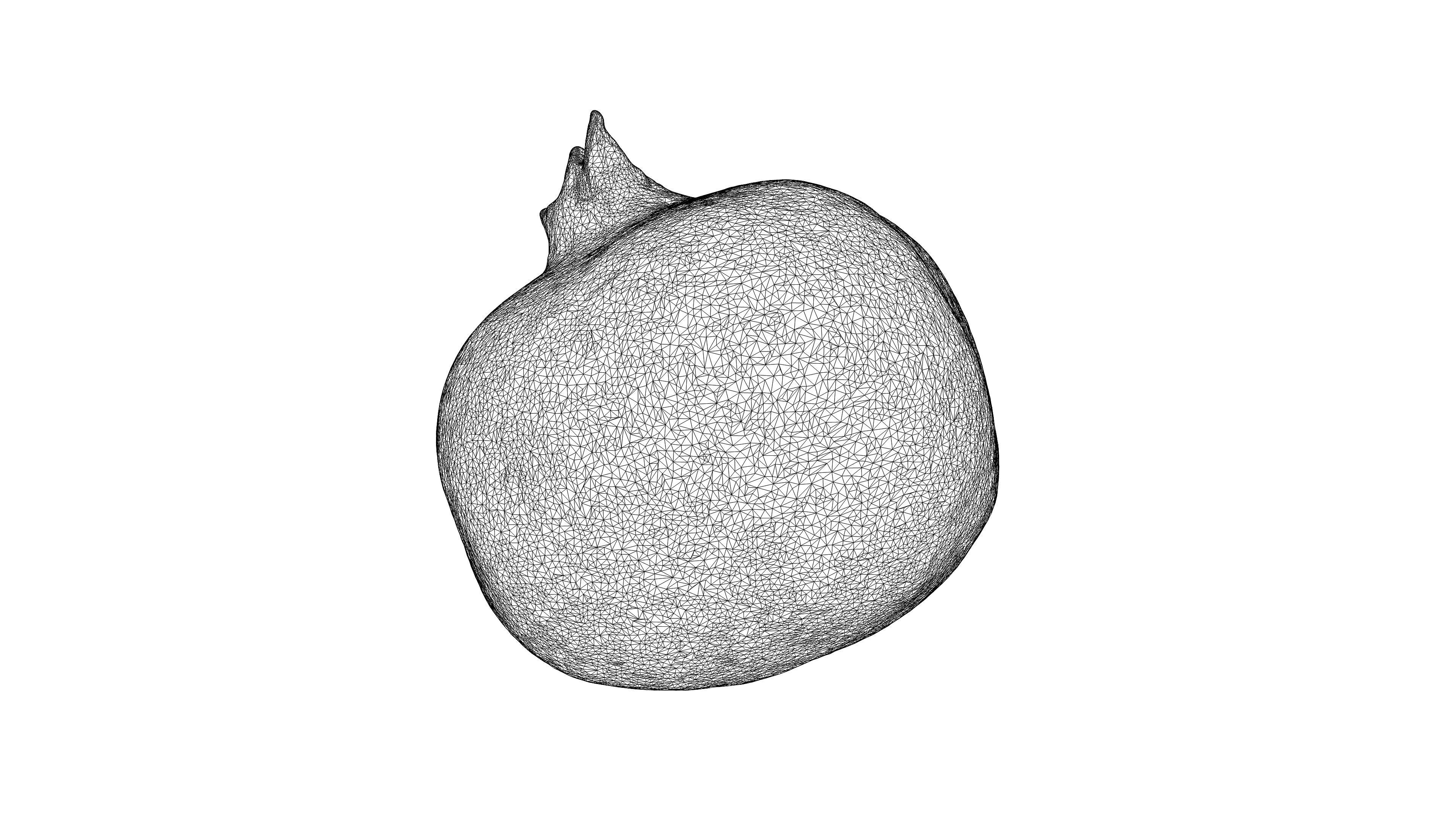 Photorealistic 3D scan of half a pomegranate Low-poly 3D model_25