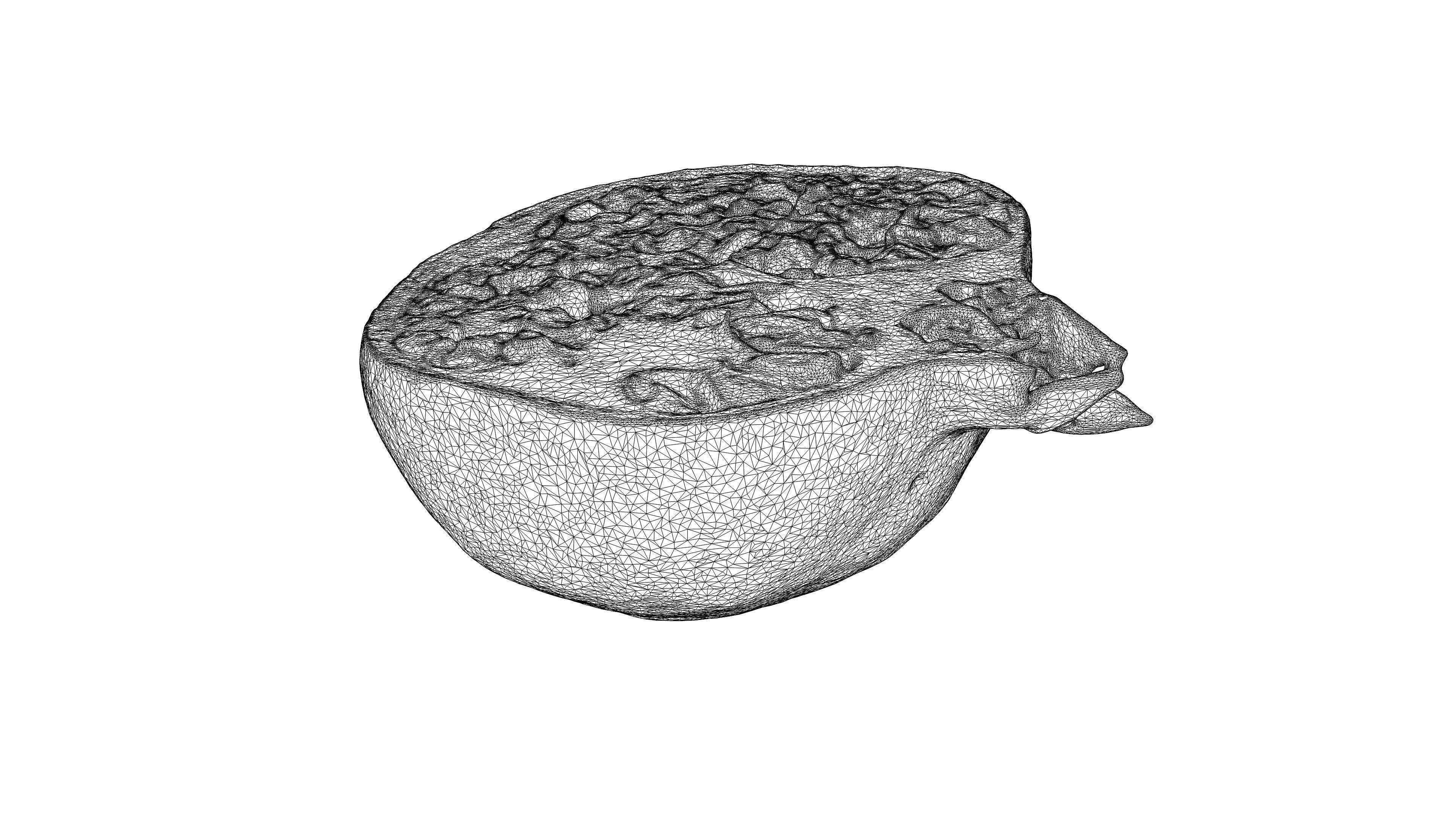 Photorealistic 3D scan of half a pomegranate Low-poly 3D model_20