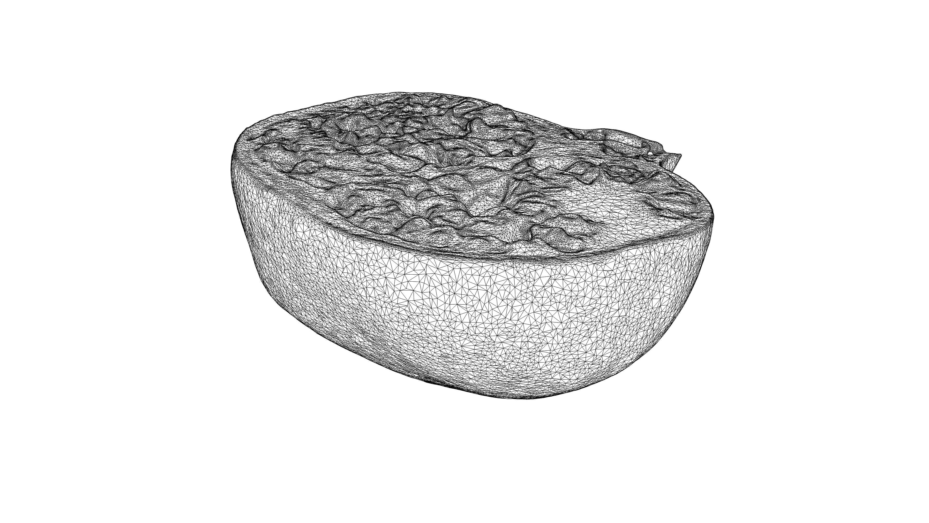 Photorealistic 3D scan of half a pomegranate Low-poly 3D model_24