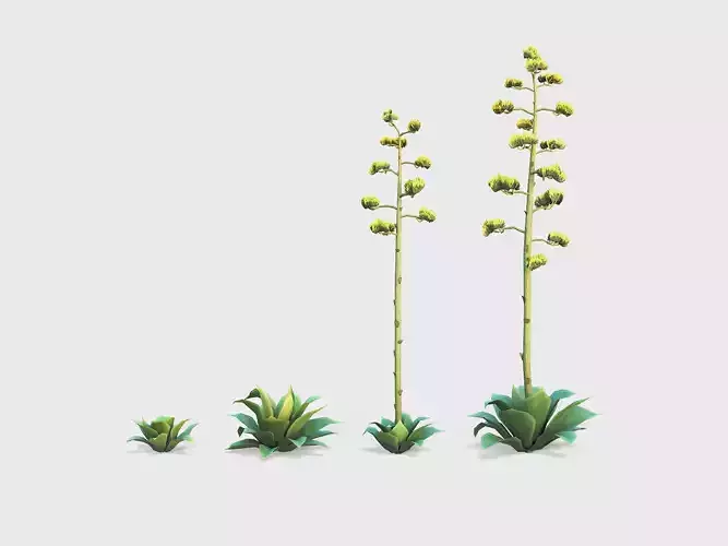 Mescal agave Low-poly 3D model
