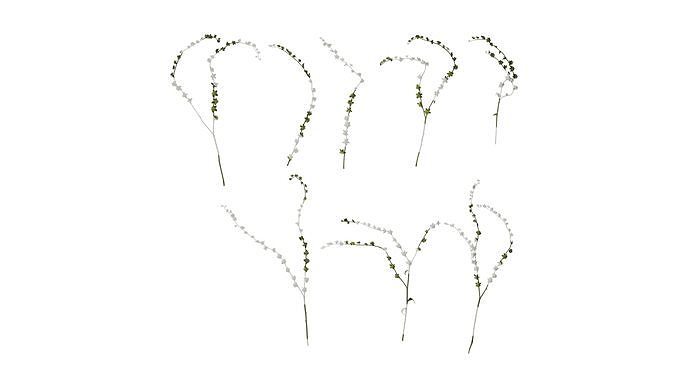 Anydrafts Microula sikkimensis Atlas 02 Texture