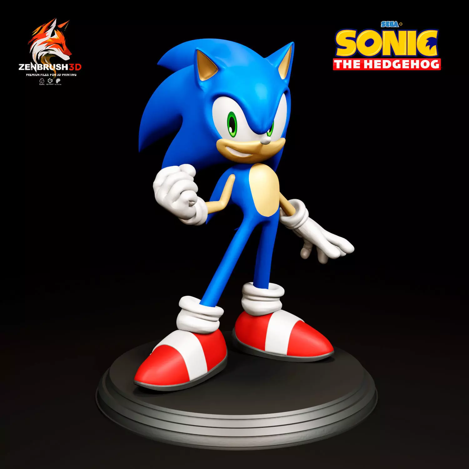 Sonic the Hedgehog 3D PRINTING 3D print model_0