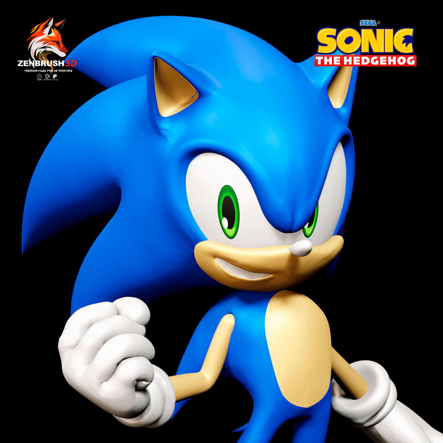 Sonic the Hedgehog 3D PRINTING 3D print model_5
