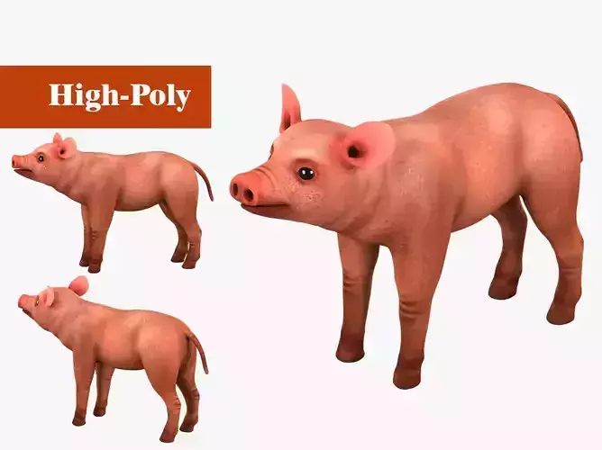 pig rig  high-poly  textured 3D model