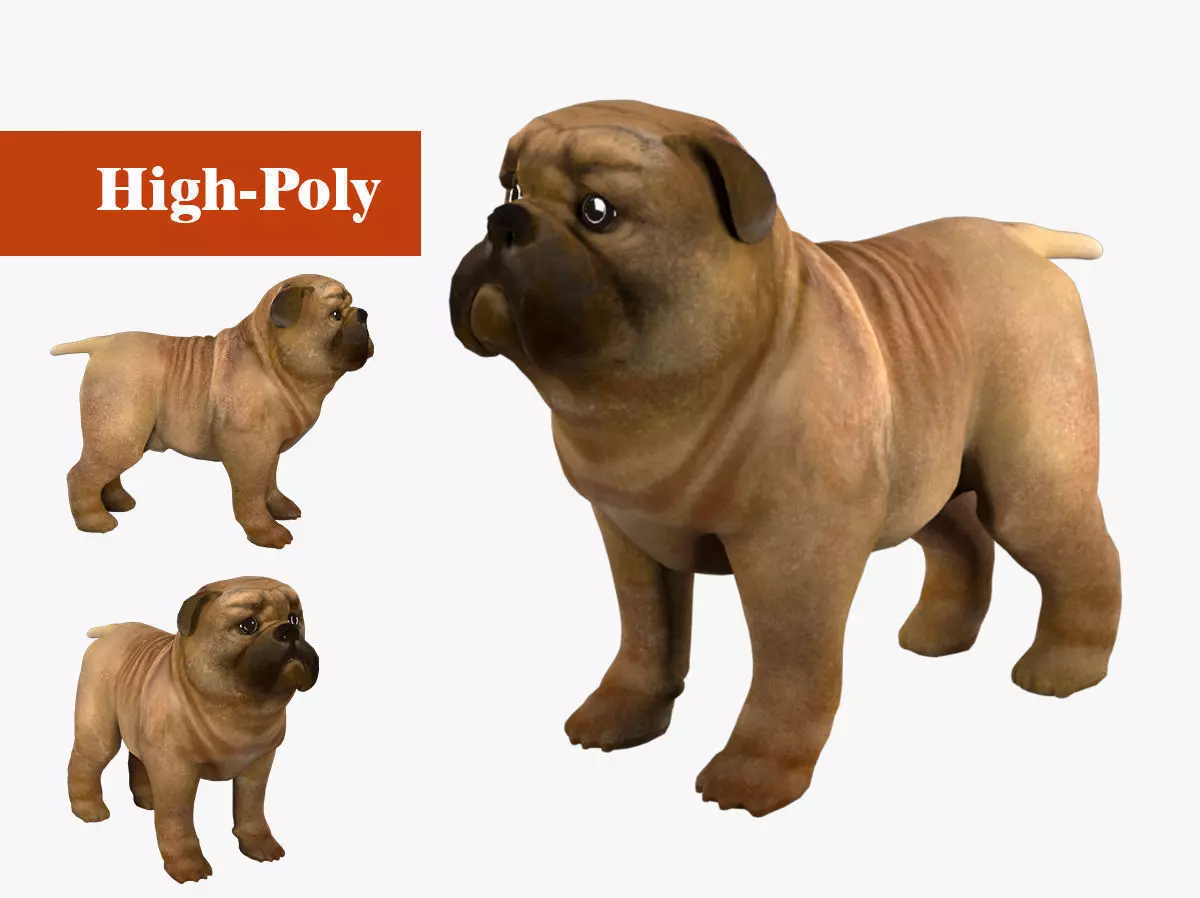 small dog bulldog  rig  high-poly  textured 3D model_0