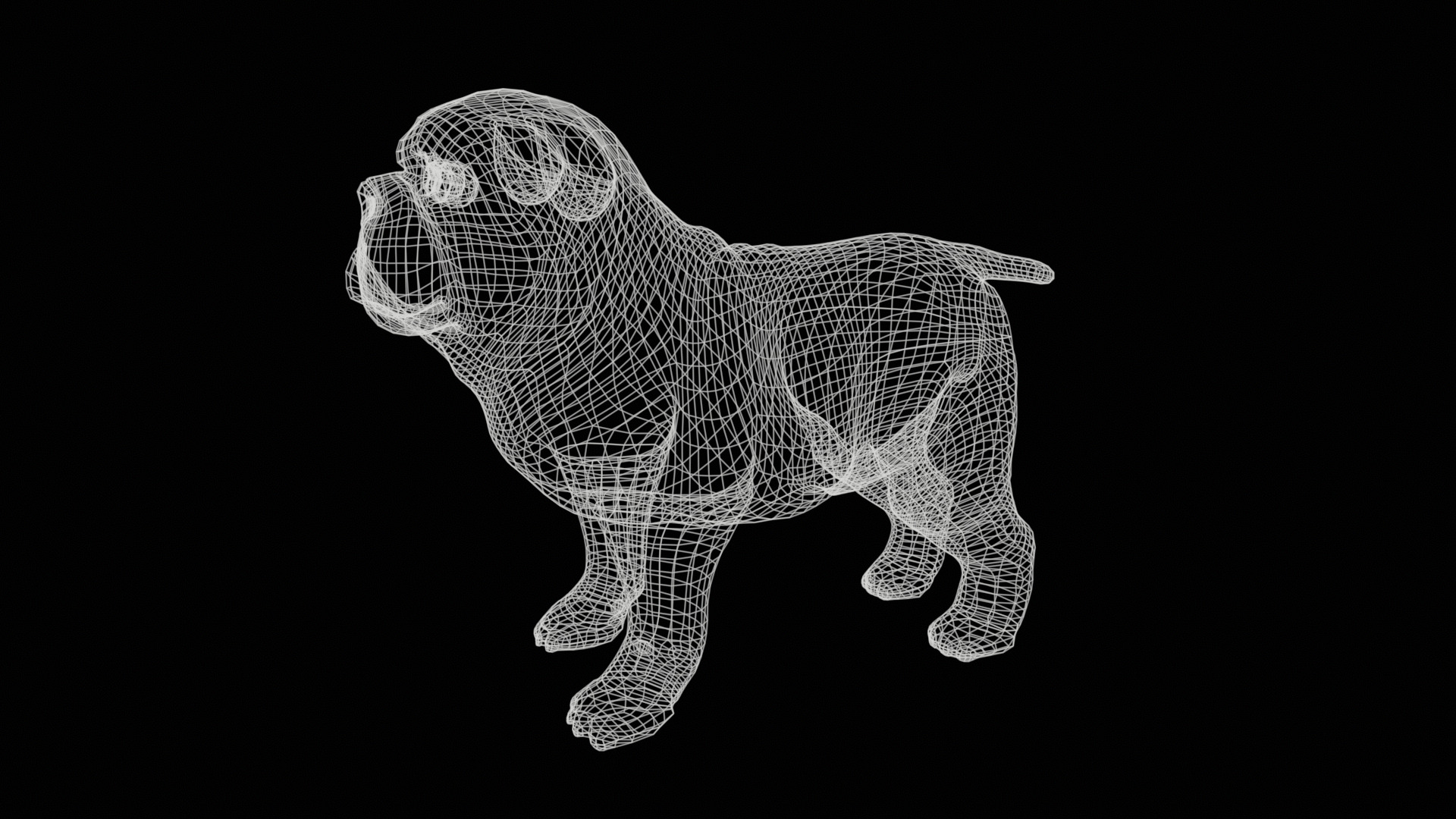 small dog bulldog  rig  high-poly  textured 3D model_23