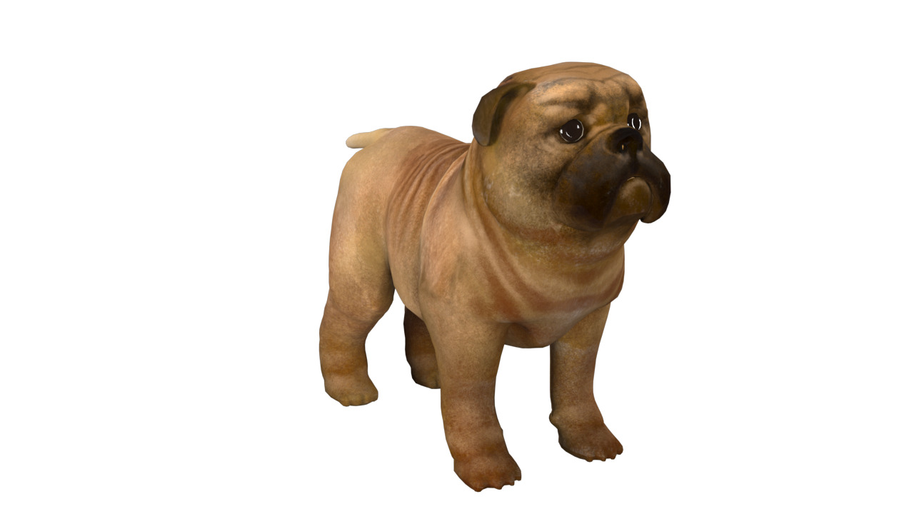 small dog bulldog  rig  high-poly  textured 3D model_11