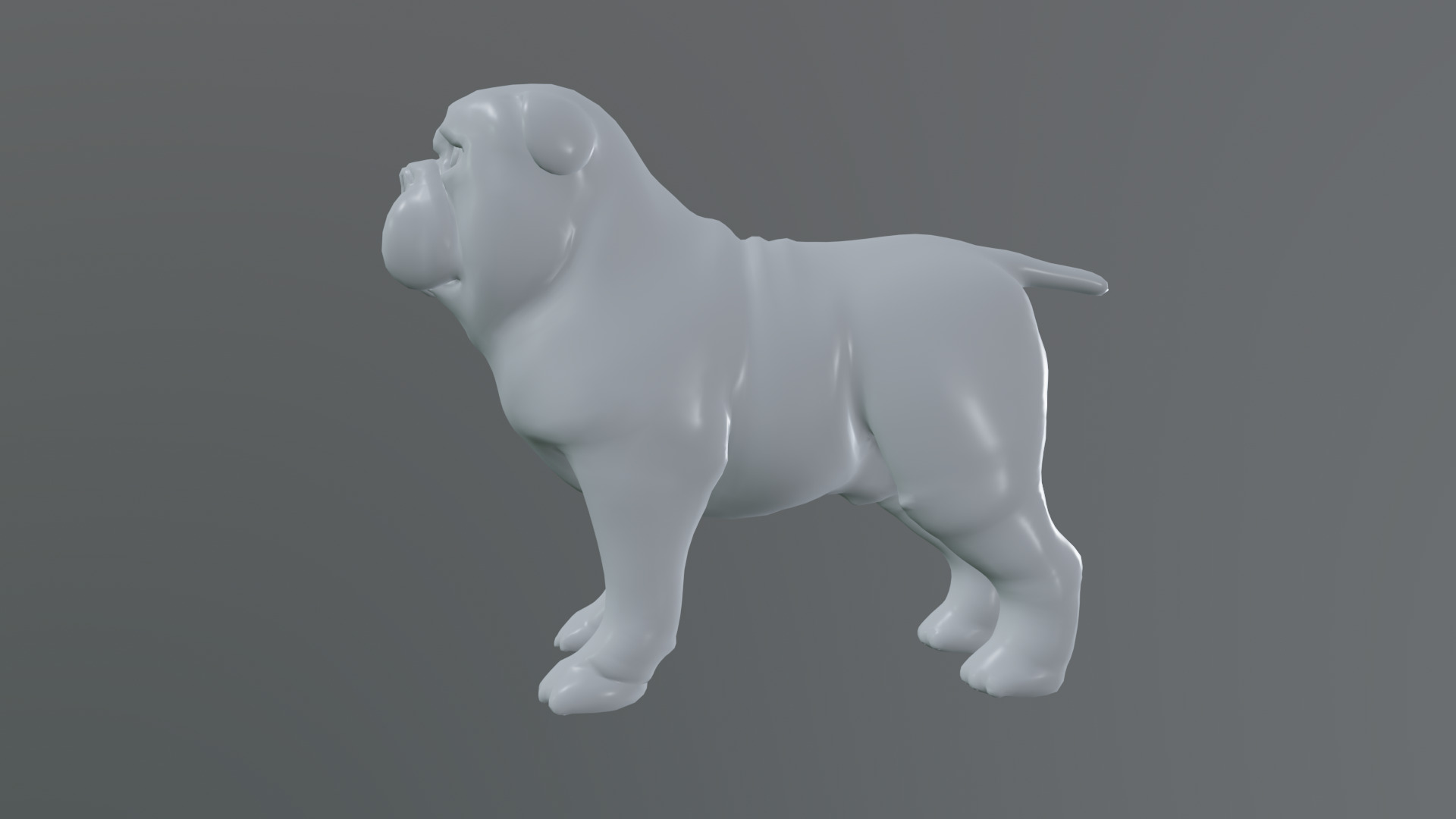 small dog bulldog  rig  high-poly  textured 3D model_21