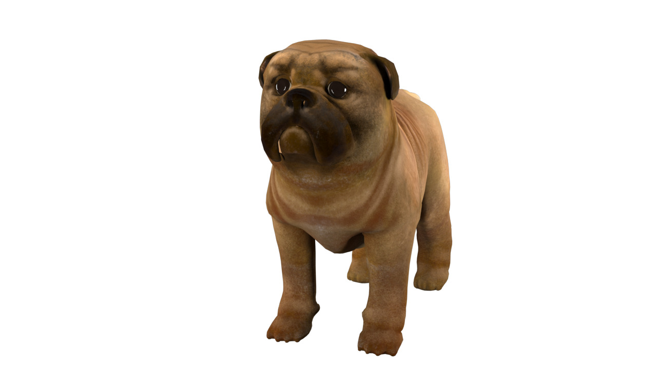 small dog bulldog  rig  high-poly  textured 3D model_7