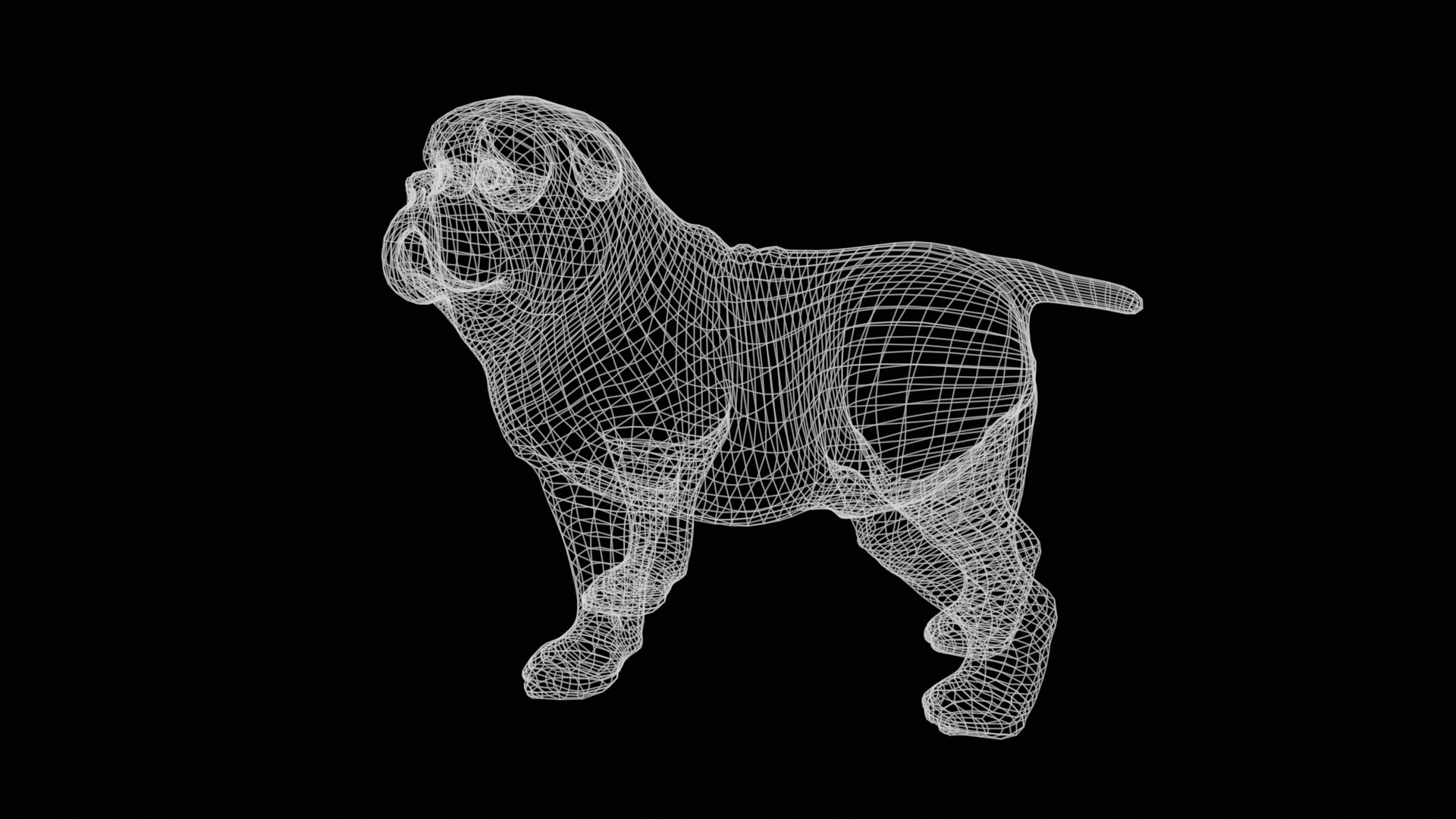 small dog bulldog  rig  high-poly  textured 3D model_24