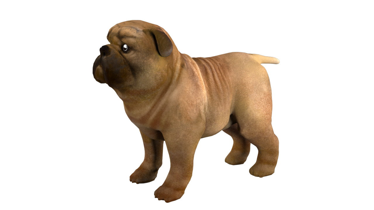 small dog bulldog  rig  high-poly  textured 3D model_2
