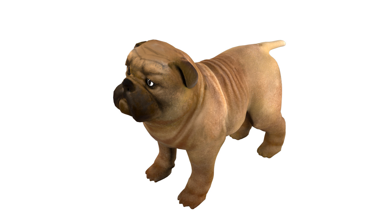 small dog bulldog  rig  high-poly  textured 3D model_8