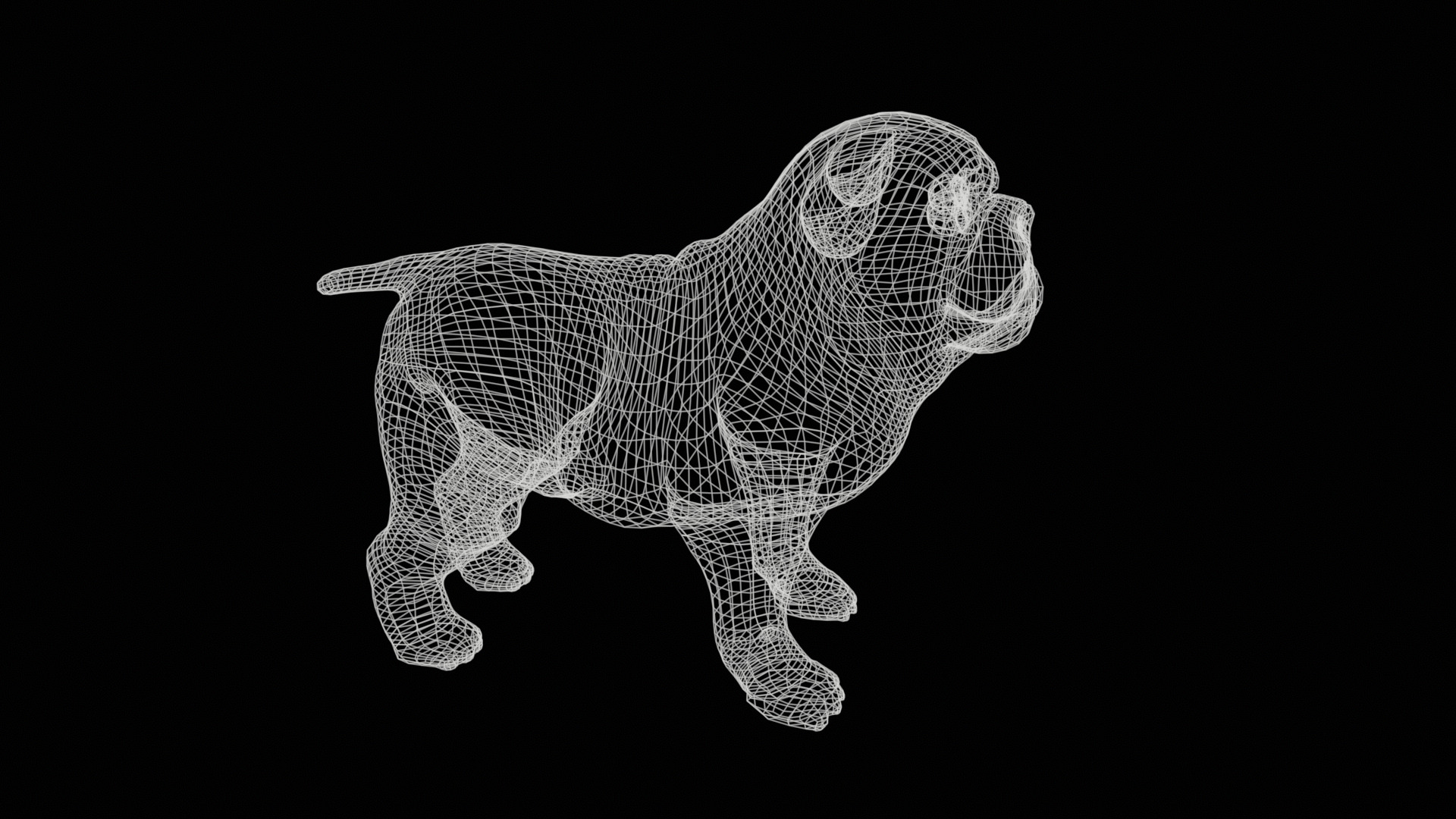 small dog bulldog  rig  high-poly  textured 3D model_30