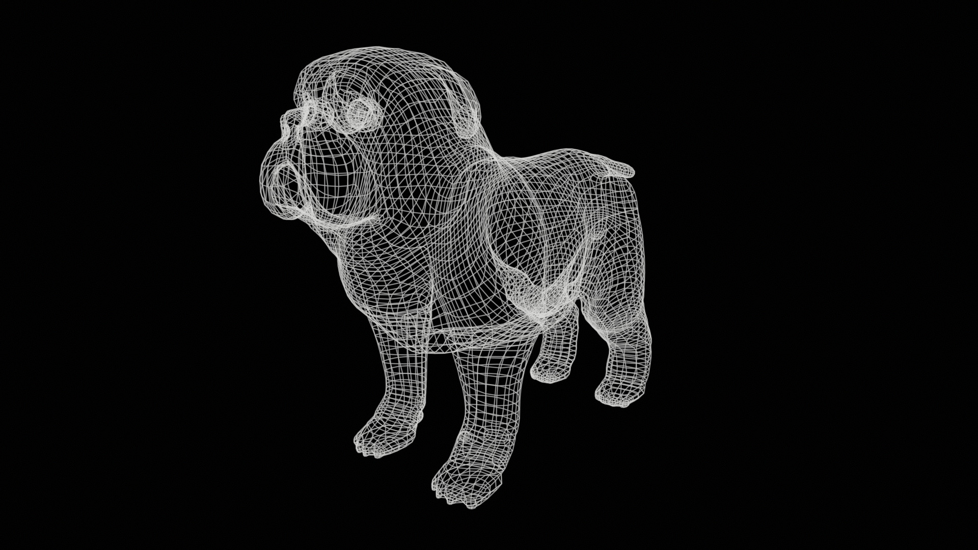 small dog bulldog  rig  high-poly  textured 3D model_33