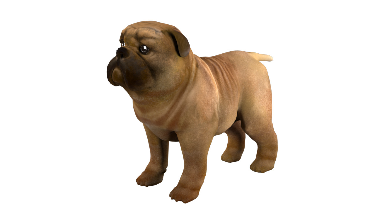 small dog bulldog  rig  high-poly  textured 3D model_3