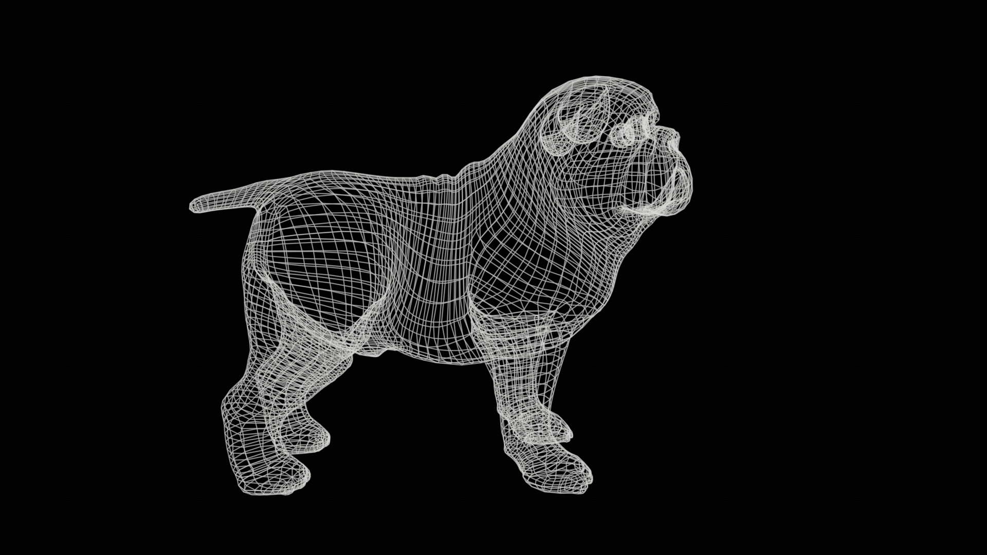 small dog bulldog  rig  high-poly  textured 3D model_31