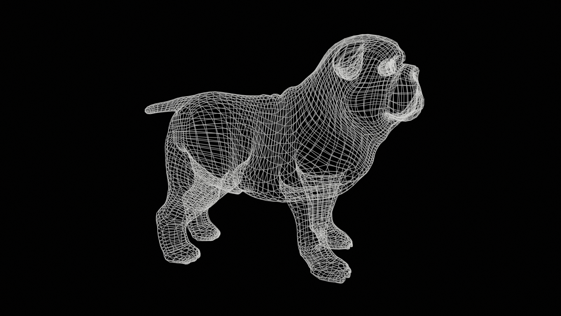 small dog bulldog  rig  high-poly  textured 3D model_25
