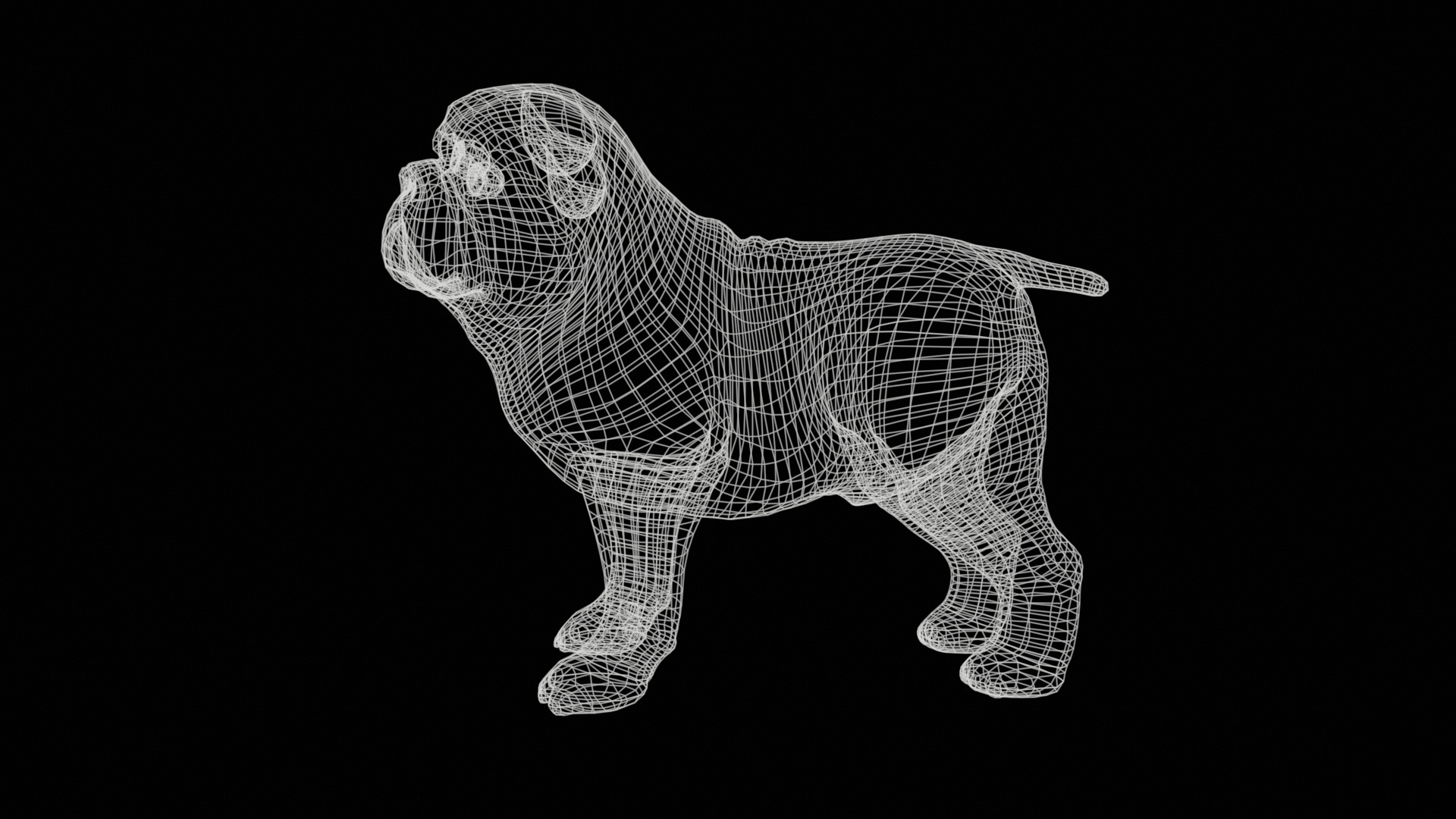 small dog bulldog  rig  high-poly  textured 3D model_32