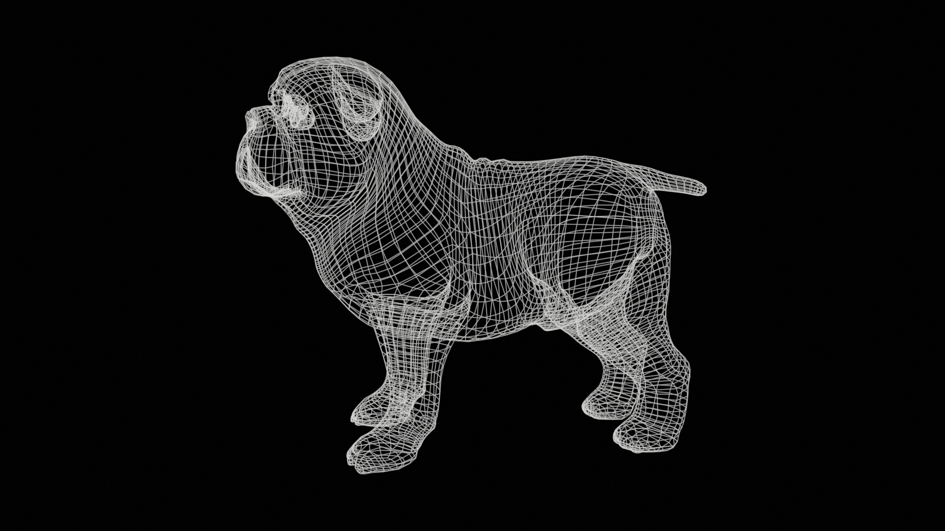 small dog bulldog  rig  high-poly  textured 3D model_26