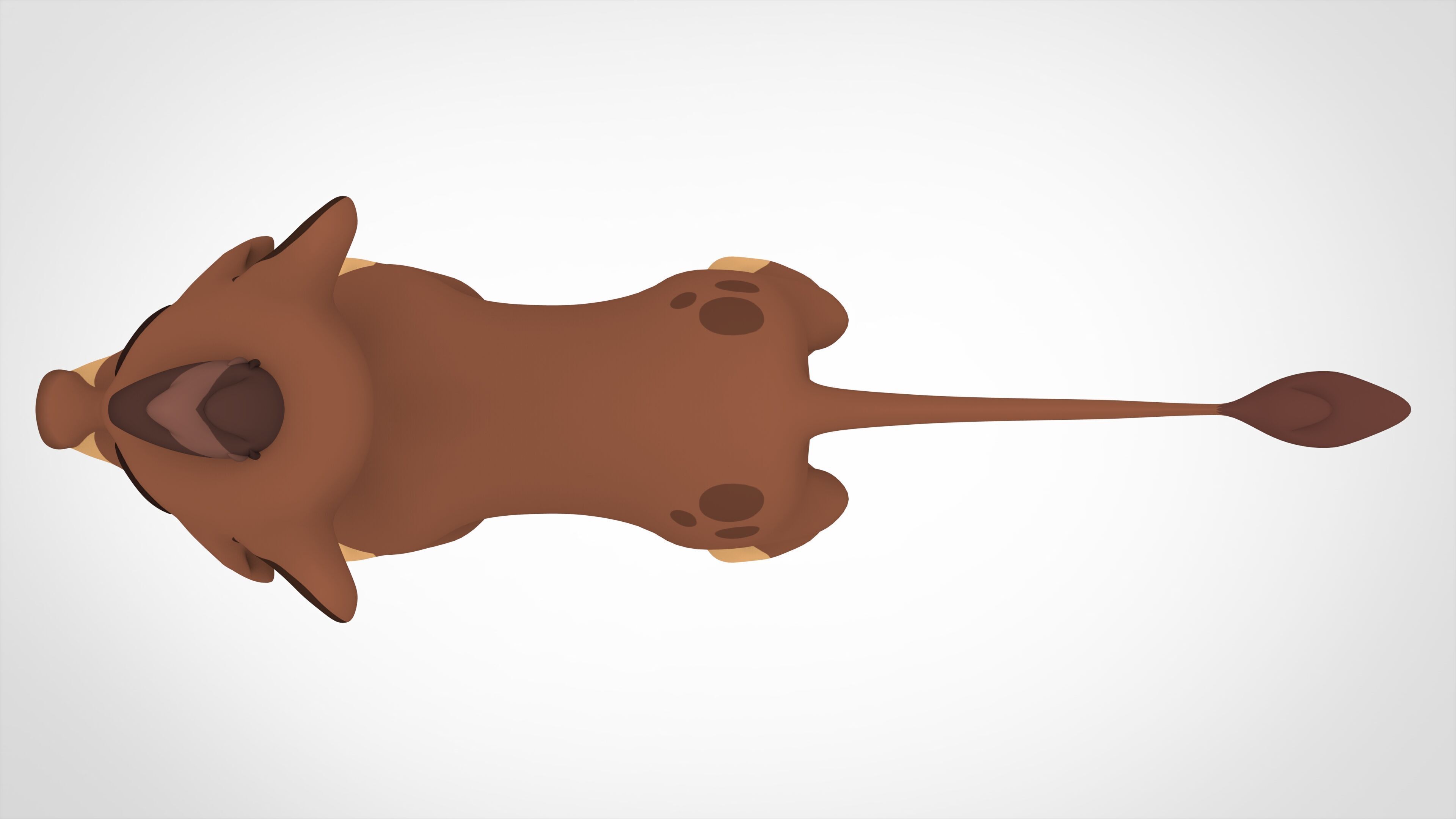 Baliyo Cub 3D model_4