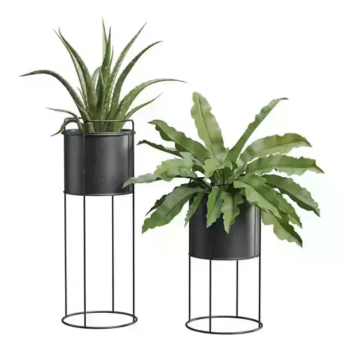 Plants Dark Metal Stand 3D model