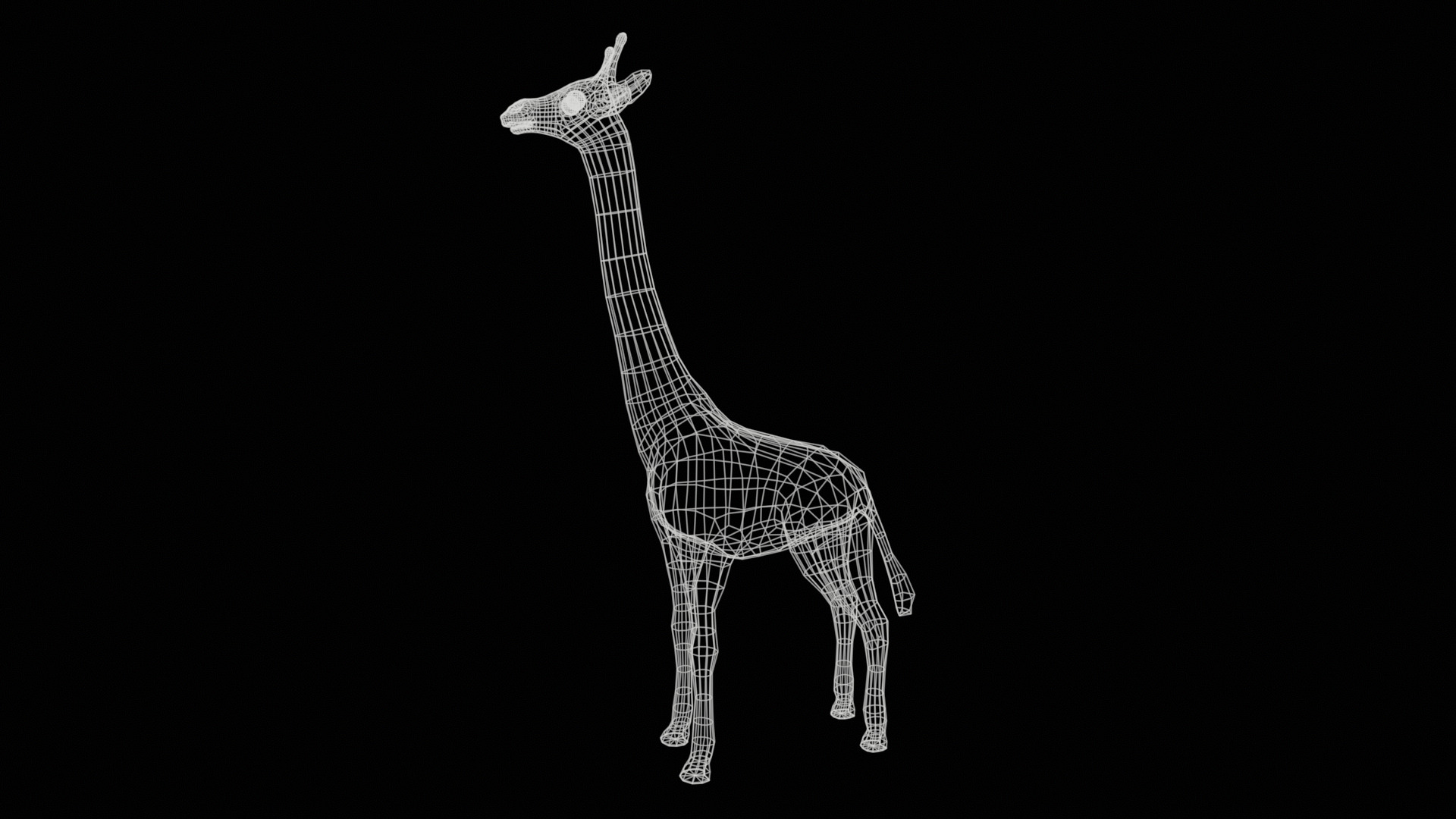 giraffe  rig  high-poly  textured 3D model_25