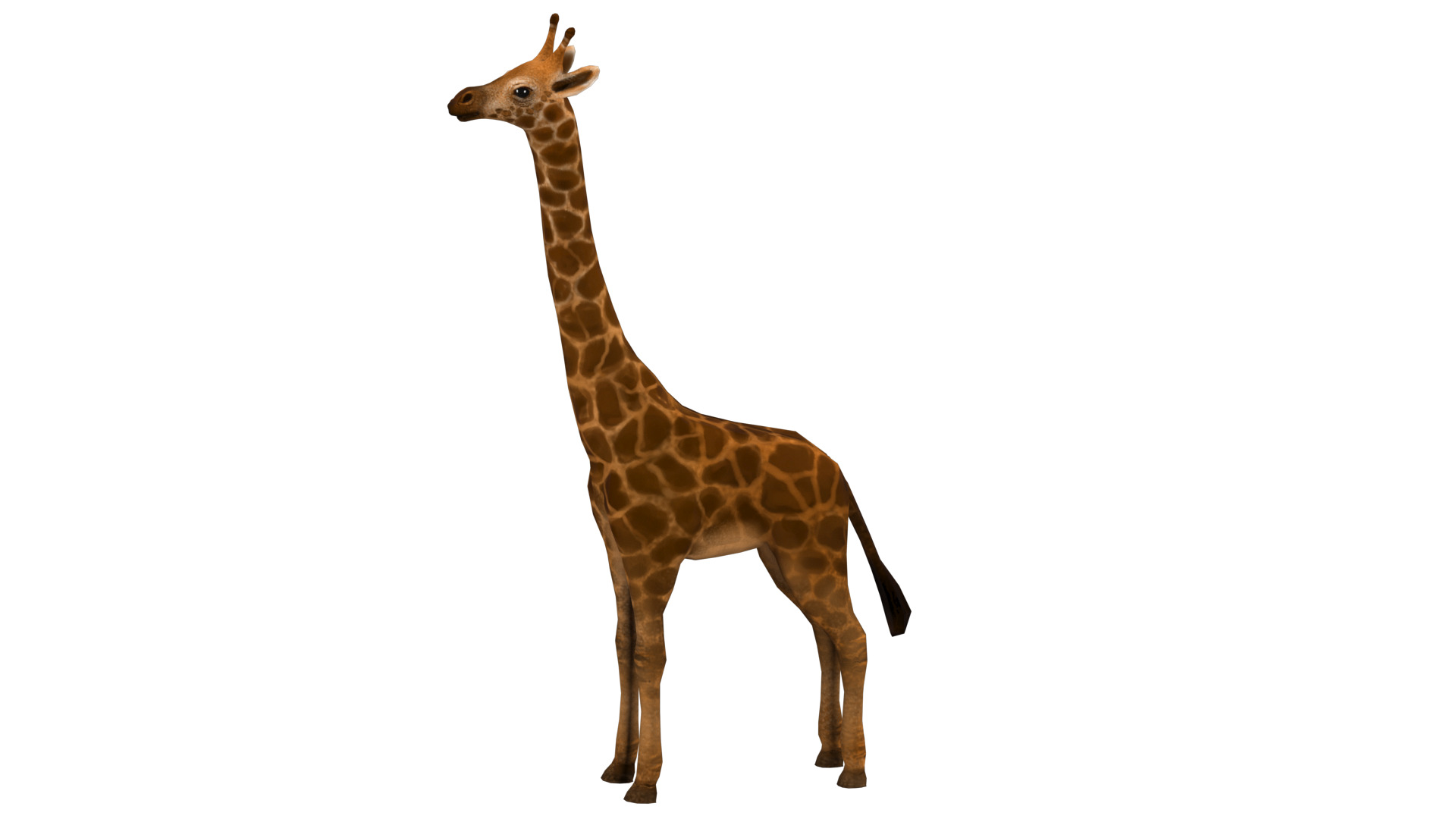 giraffe  rig  high-poly  textured 3D model_12