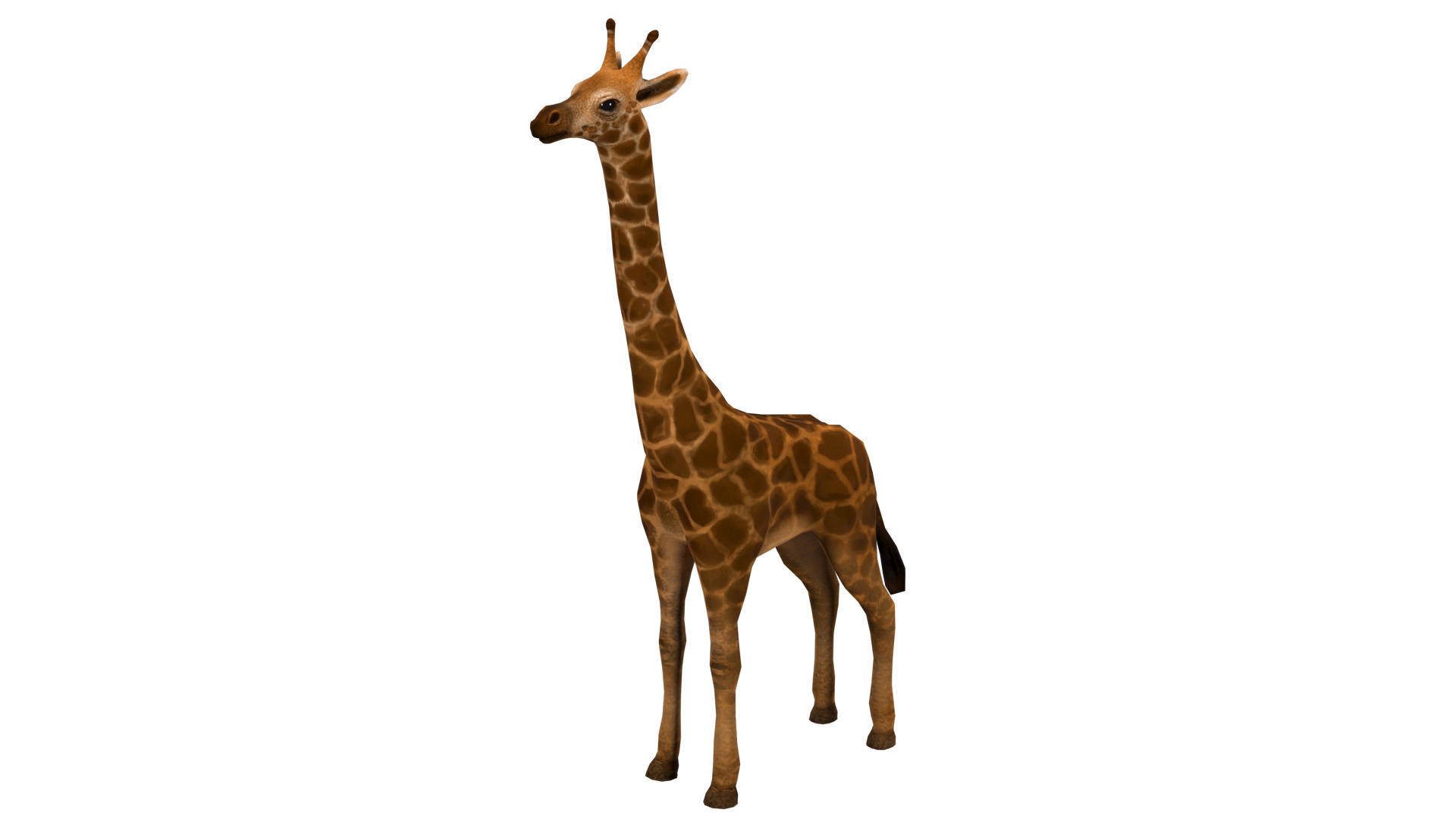 giraffe  rig  high-poly  textured 3D model_2