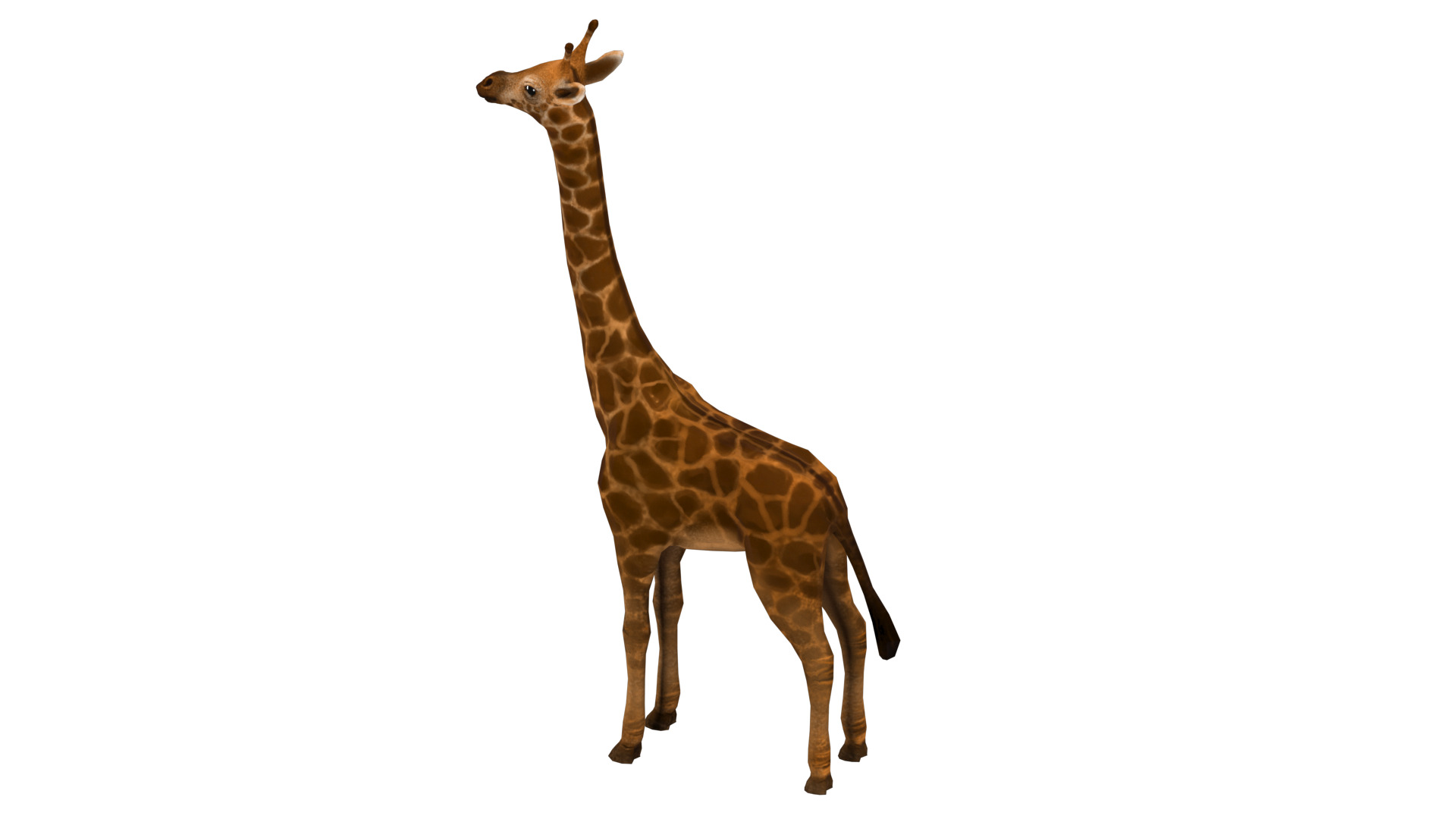 giraffe  rig  high-poly  textured 3D model_10