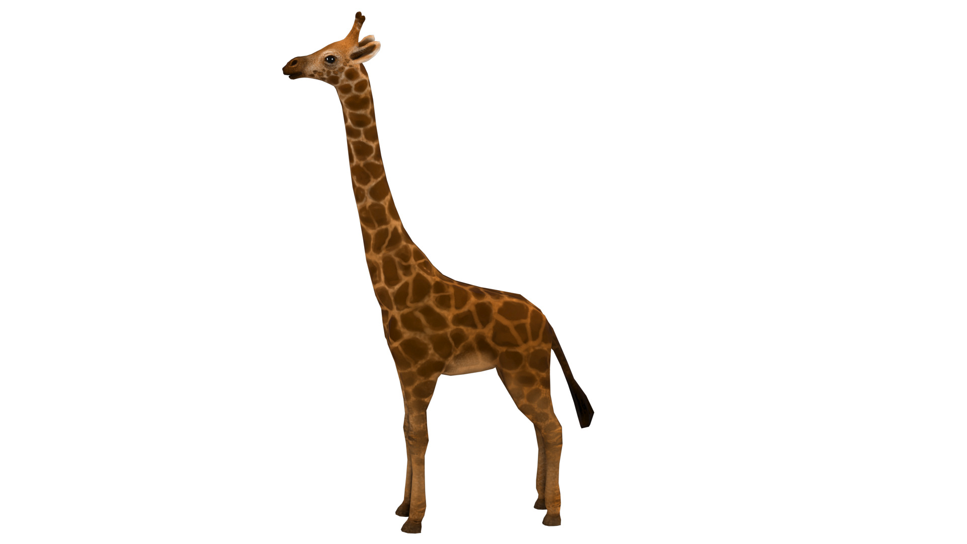 giraffe  rig  high-poly  textured 3D model_8