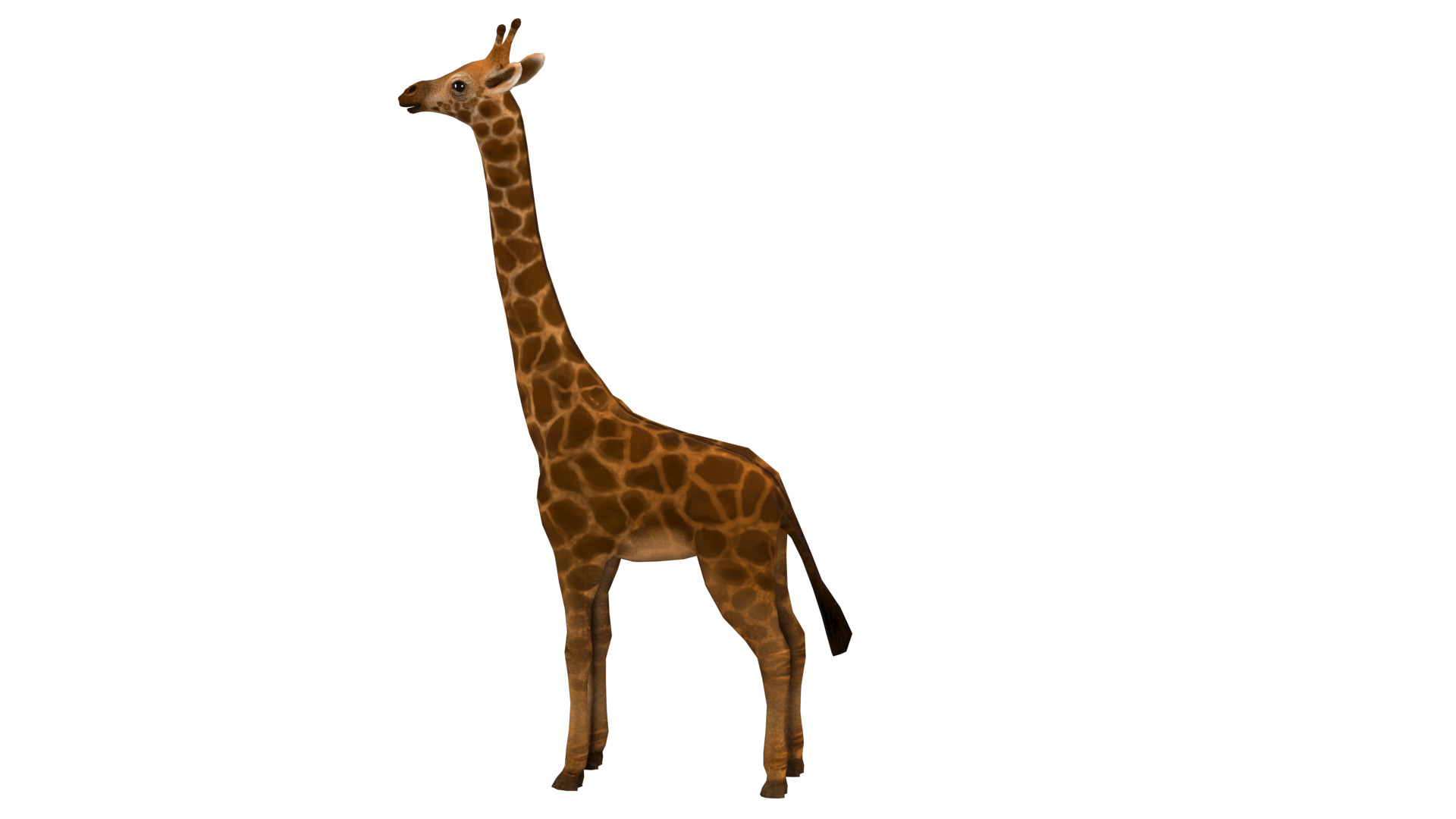 giraffe  rig  high-poly  textured 3D model_5