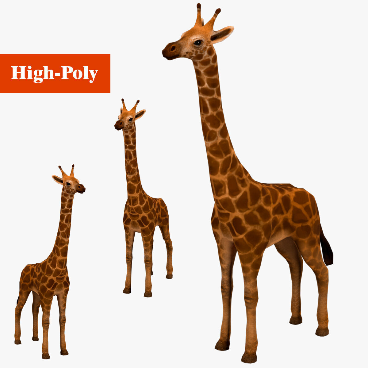 giraffe  rig  high-poly  textured 3D model_1