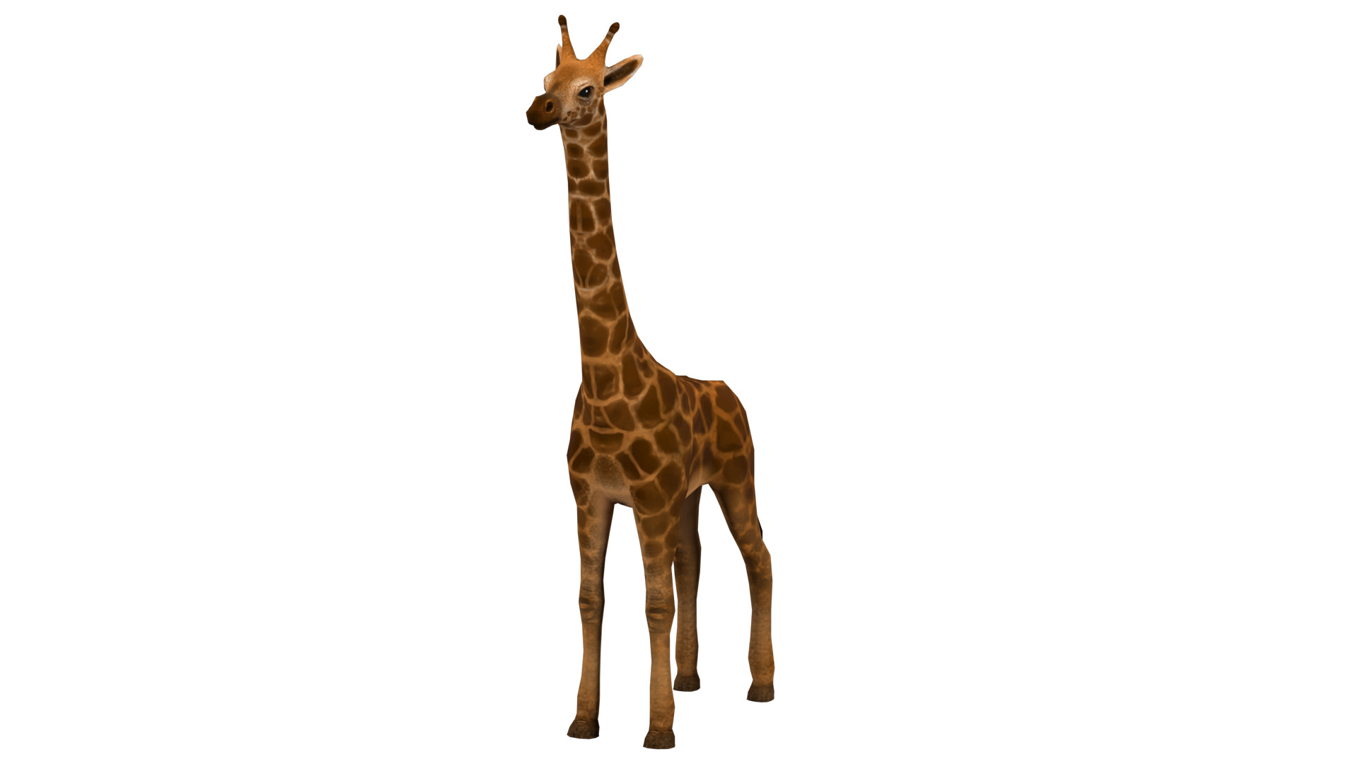 giraffe  rig  high-poly  textured 3D model_11