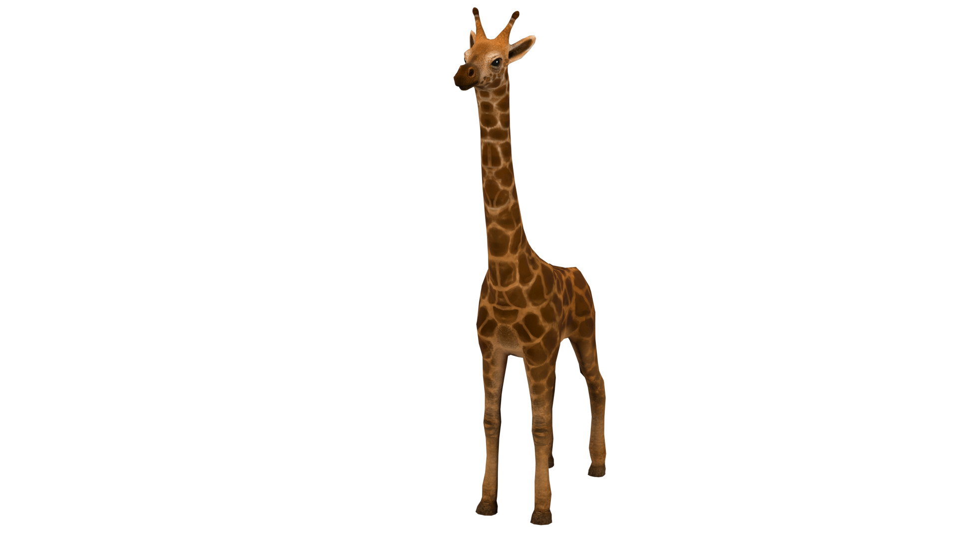 giraffe  rig  high-poly  textured 3D model_6