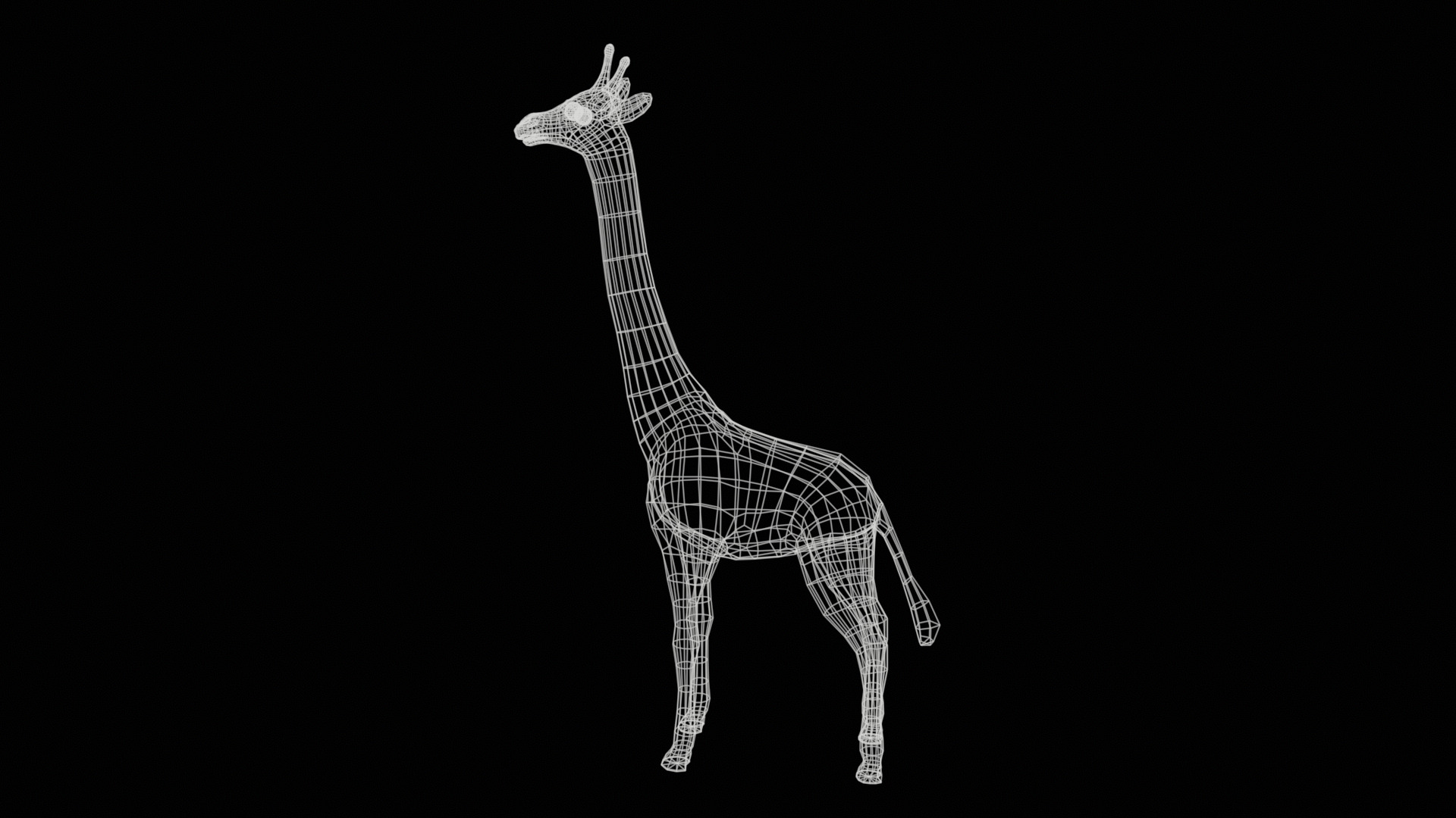 giraffe  rig  high-poly  textured 3D model_26