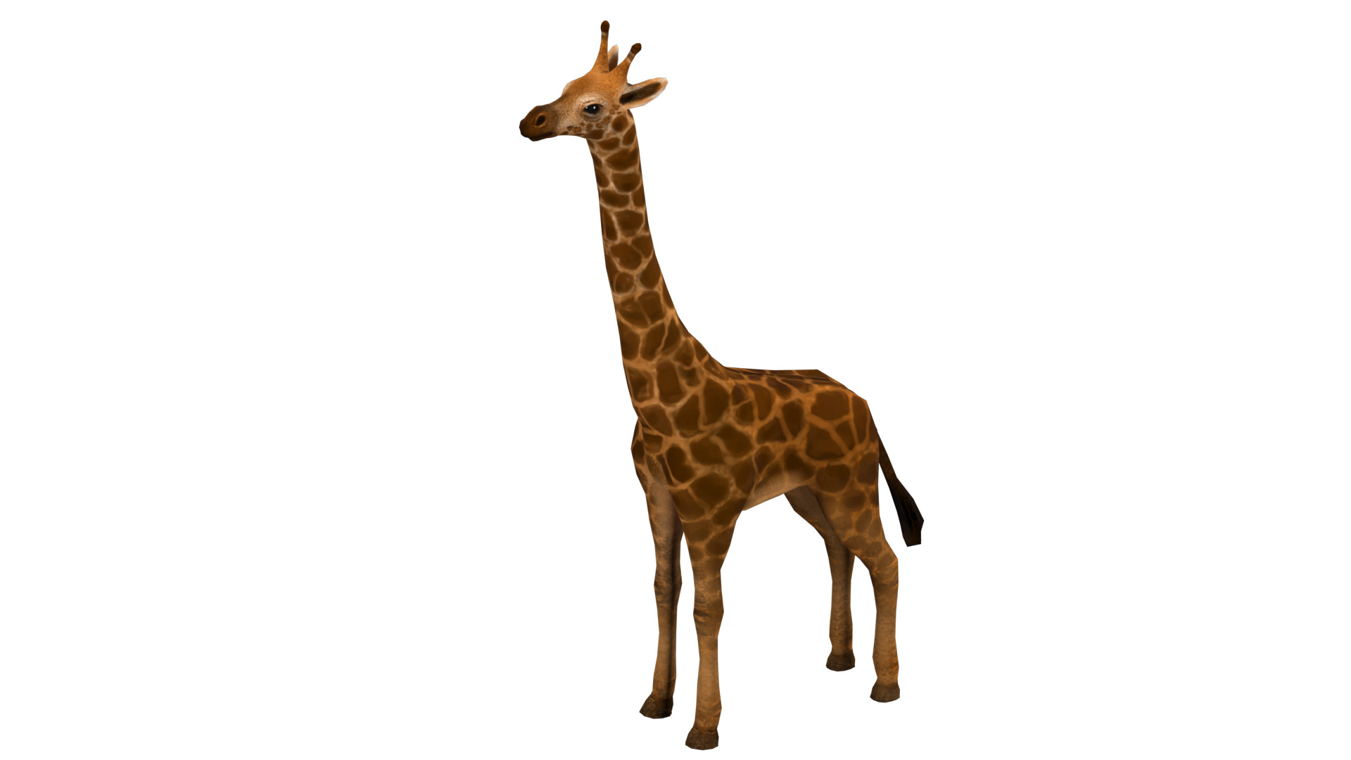 giraffe  rig  high-poly  textured 3D model_9