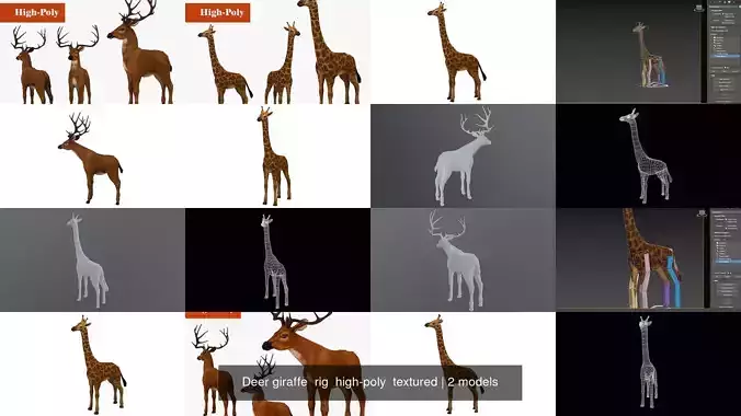 Deer giraffe  rig  high-poly  textured