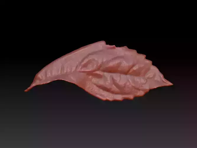3D printing leaves STL Leaf 3D leaf 3D model realistic leaves