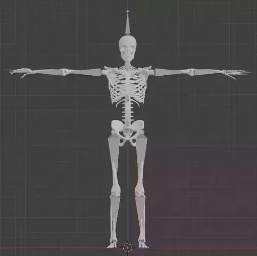 skeleton rigged and animated file