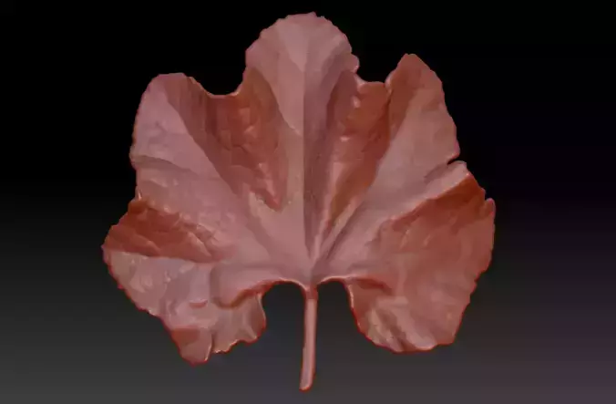 Leaf 3D printing model leaf 3D model flower leaf vegetable leaf