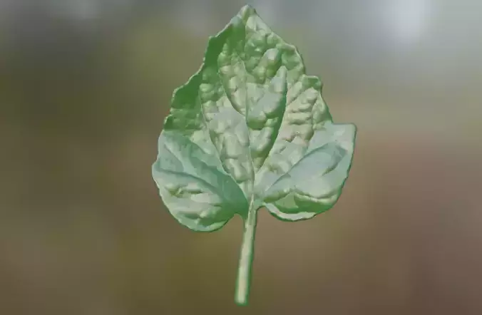 Tomato leaf Plant leaf 3D model Plastic flower leaf 3D printing