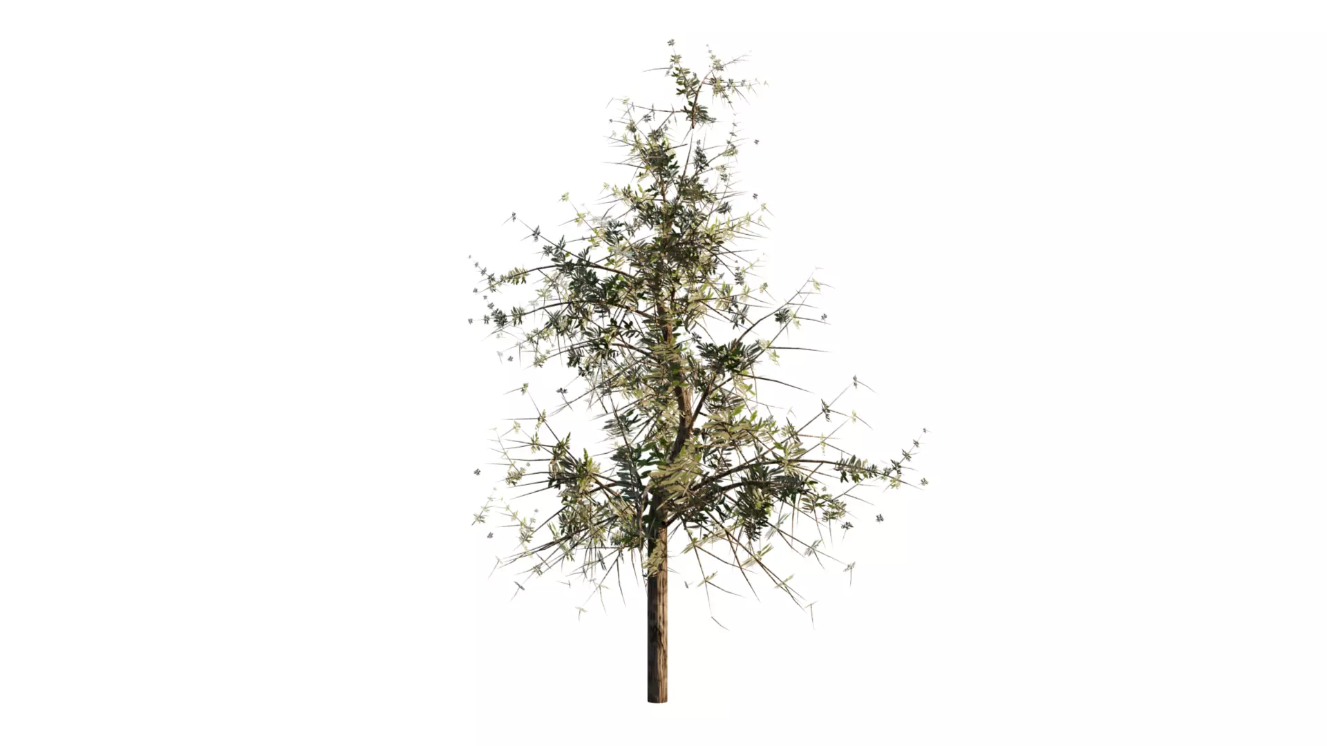 Trees Geometry Nodes Free 3D model