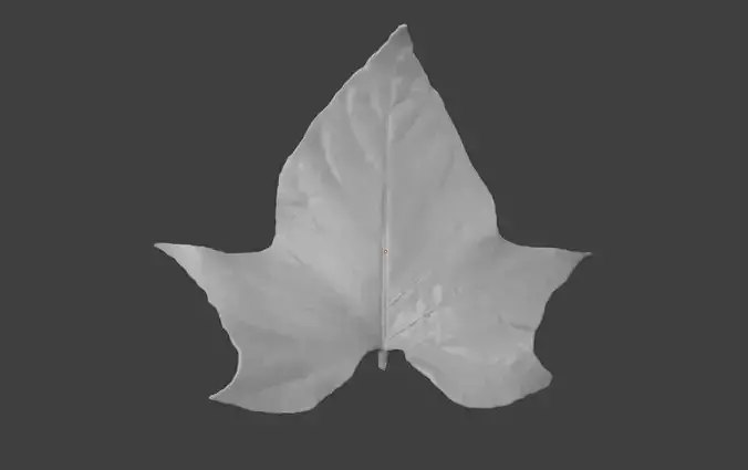 Sweet potato leaf Plant  leaf 3D model Plastic leaf 3D printing