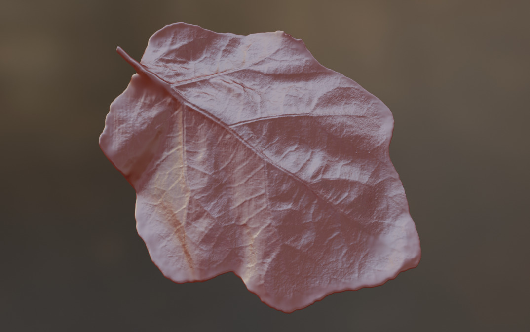 Eggplant leaf plant leaf 3D model Plastic  3D printing 3D print model_2