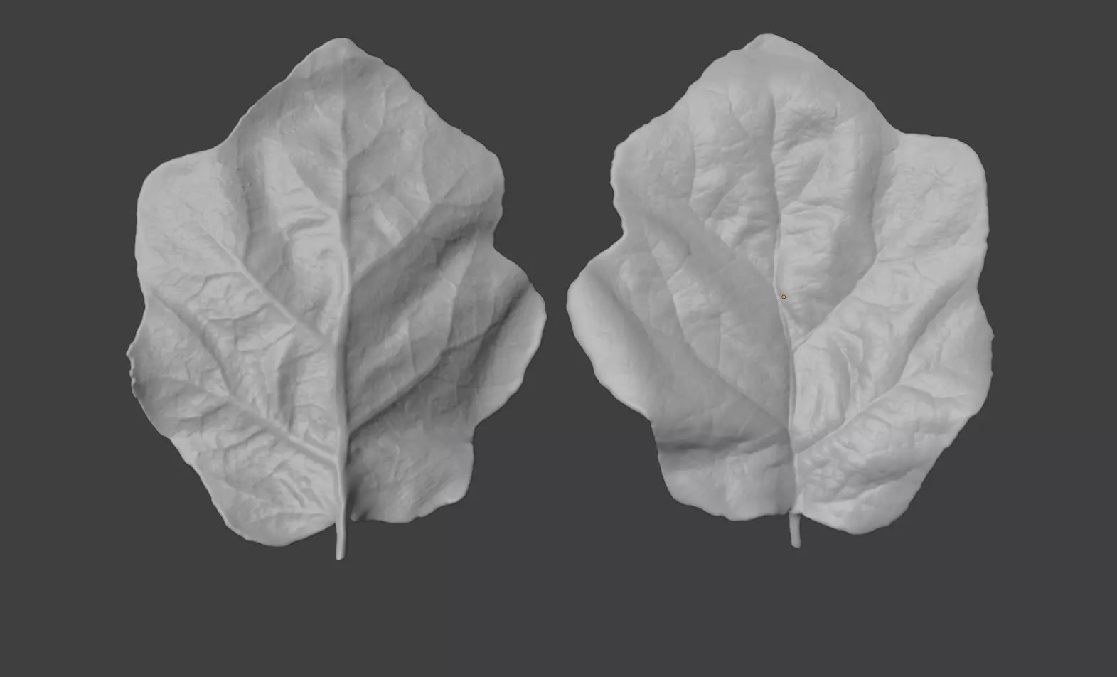 Eggplant leaf plant leaf 3D model Plastic  3D printing 3D print model_0