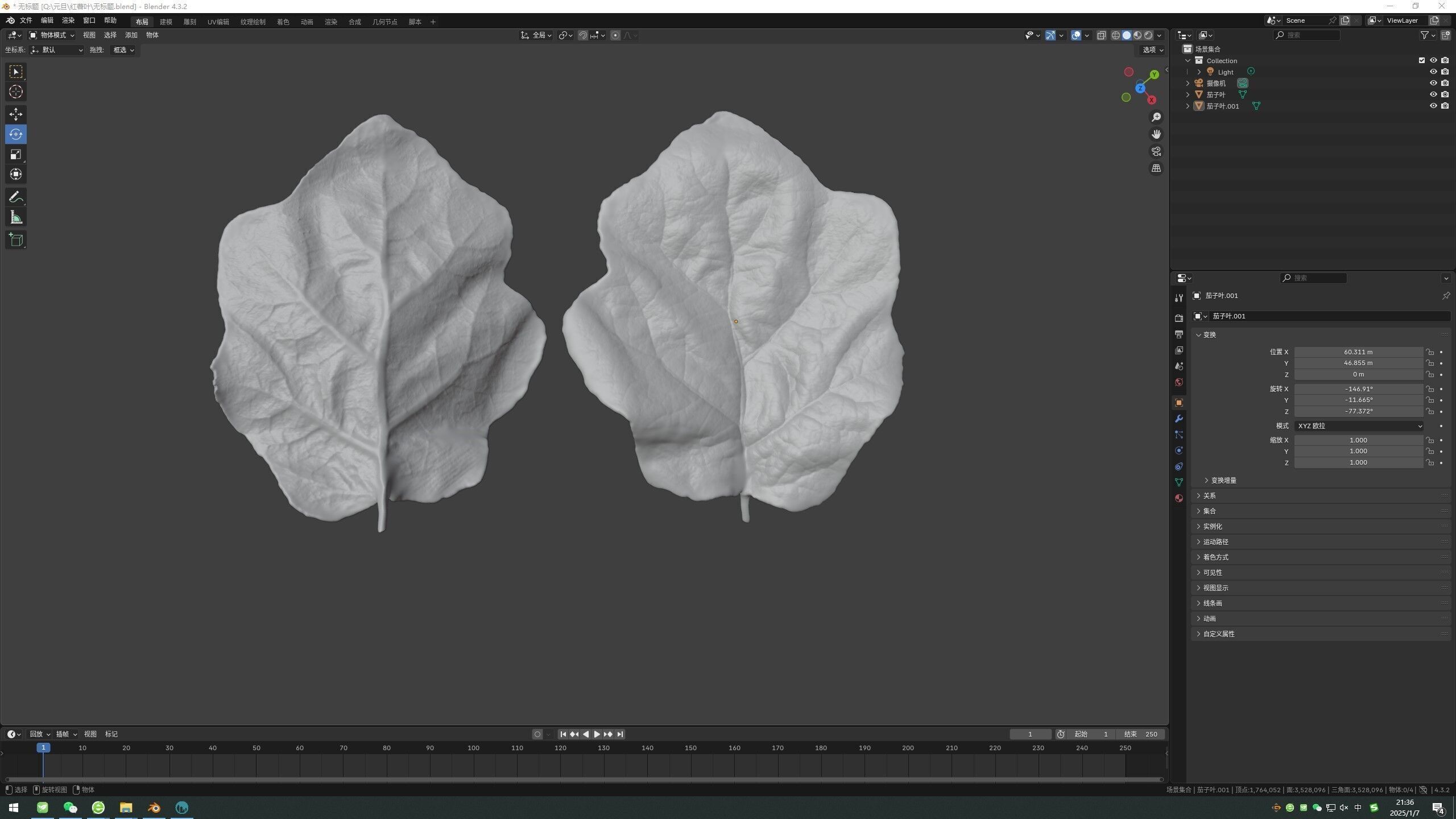 Eggplant leaf plant leaf 3D model Plastic  3D printing 3D print model_5