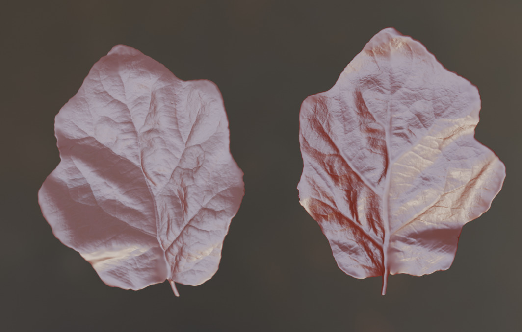 Eggplant leaf plant leaf 3D model Plastic  3D printing 3D print model_3