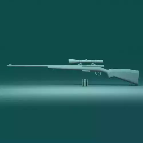 Hunting Rifle